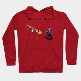 Lessons in Witchery (Trick or Treat) Hoodie